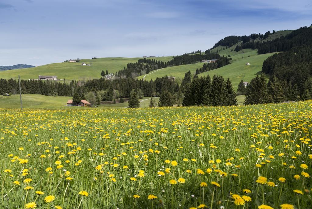 Hotel Kaubad Appenzell Exterior photo